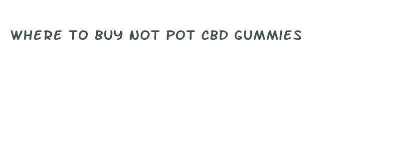 where to buy not pot cbd gummies