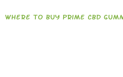 where to buy prime cbd gummies