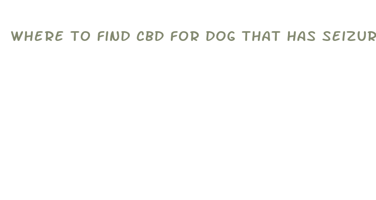 where to find cbd for dog that has seizures