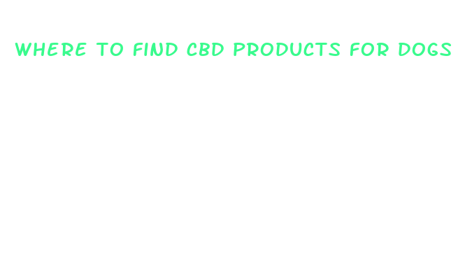 where to find cbd products for dogs