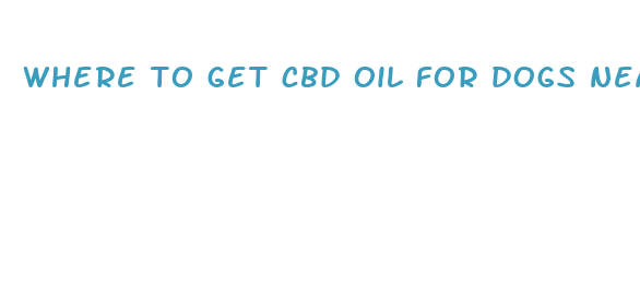 where to get cbd oil for dogs near me