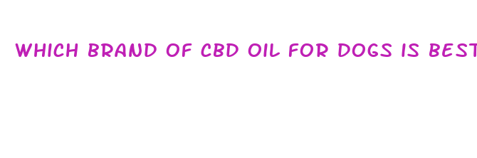 which brand of cbd oil for dogs is best