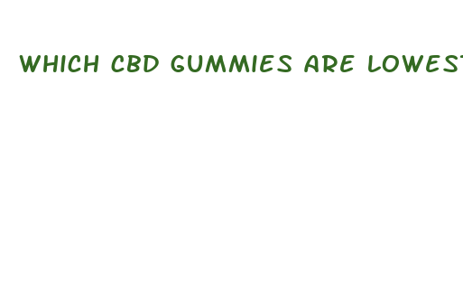 which cbd gummies are lowest sugar content