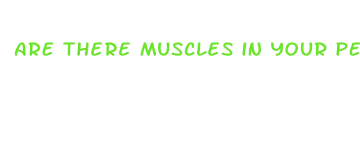 are there muscles in your penis