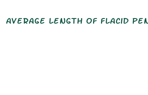 average length of flacid penis