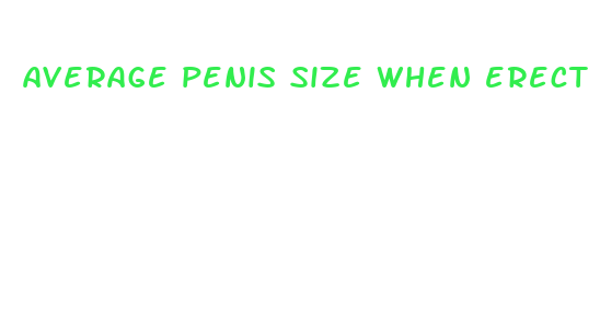 average penis size when erect