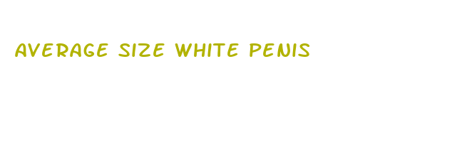 average size white penis