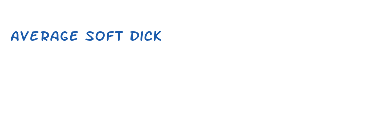 average soft dick