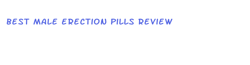 best male erection pills review