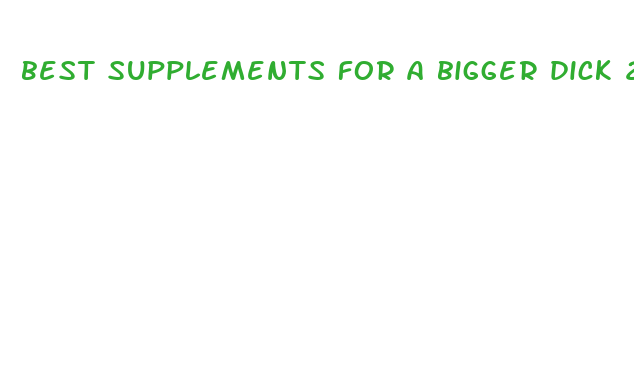 best supplements for a bigger dick 2024