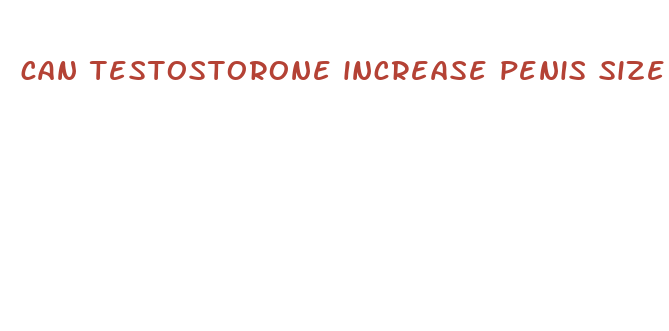 can testostorone increase penis size