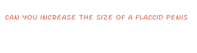 can you increase the size of a flaccid penis