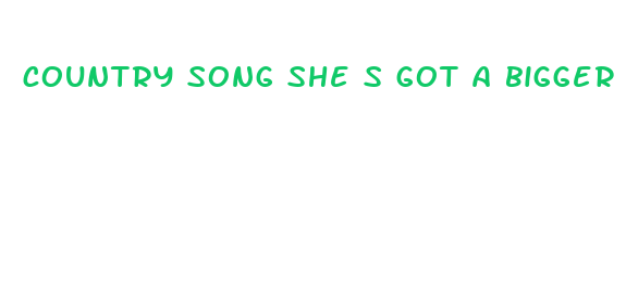 country song she s got a bigger dick