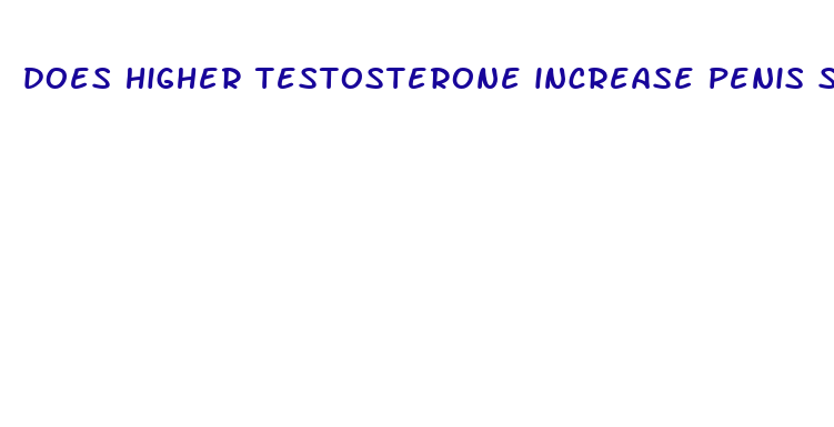 does higher testosterone increase penis size