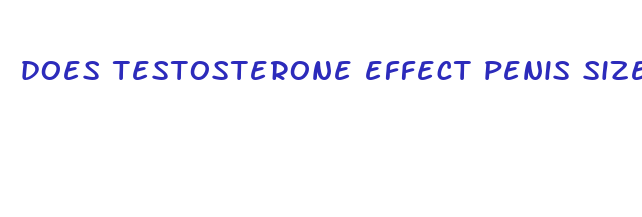 does testosterone effect penis size