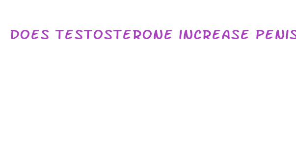 does testosterone increase penis size