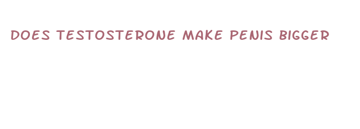 does testosterone make penis bigger