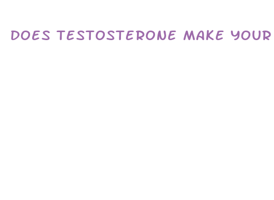 does testosterone make your penis bigger