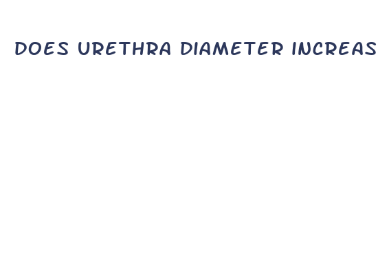 does urethra diameter increase with penis size