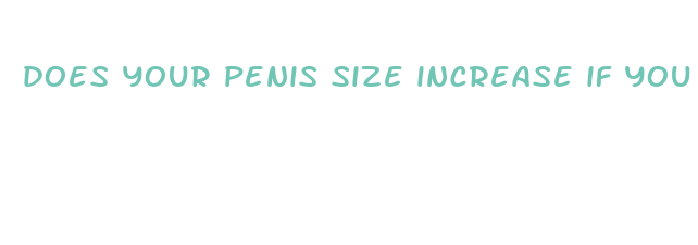 does your penis size increase if you lose weight