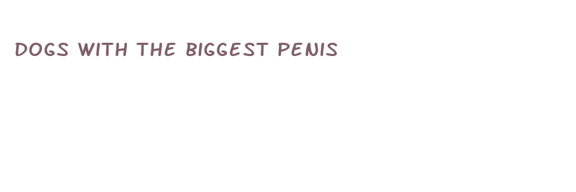 dogs with the biggest penis