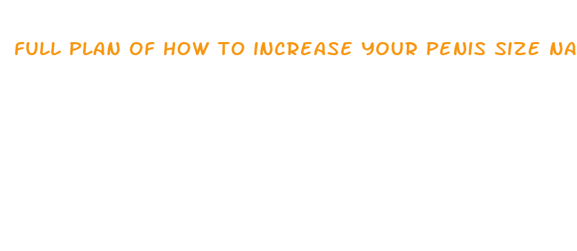 full plan of how to increase your penis size naturally