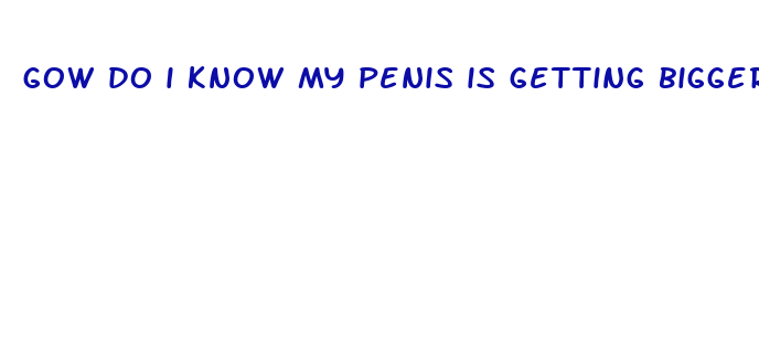 gow do i know my penis is getting bigger