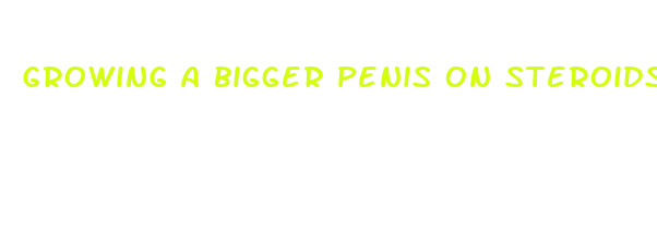 growing a bigger penis on steroids and hcg