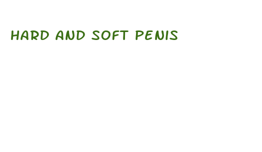 hard and soft penis