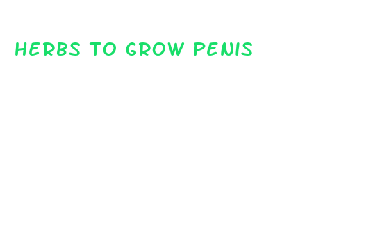 herbs to grow penis