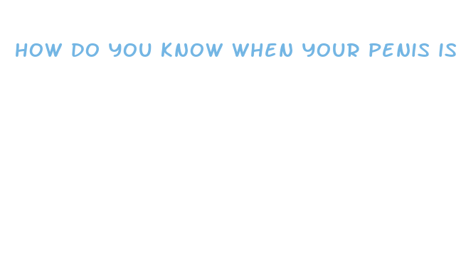 how do you know when your penis is growing