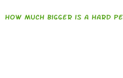 how much bigger is a hard penis than a flaccid