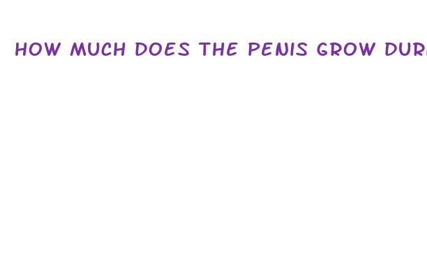 how much does the penis grow during puberty