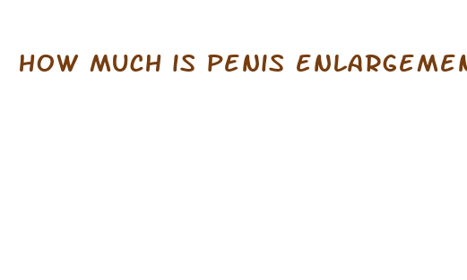 how much is penis enlargement pills