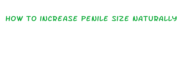 how to increase penile size naturally