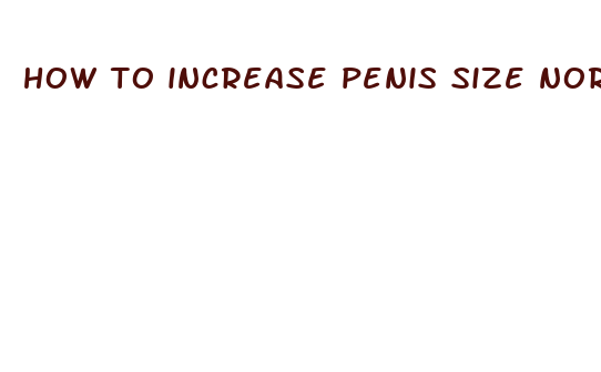 how to increase penis size normally