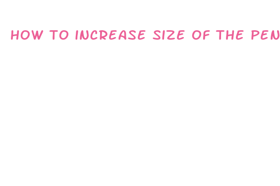 how to increase size of the penis