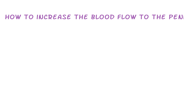 how to increase the blood flow to the penis