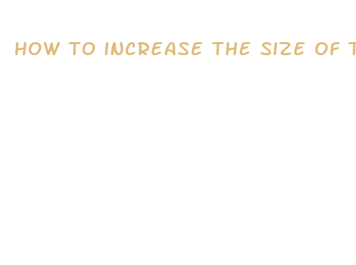 how to increase the size of the male penis