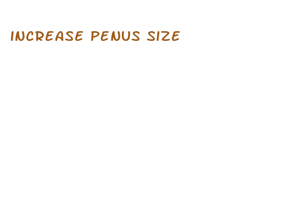 increase penus size