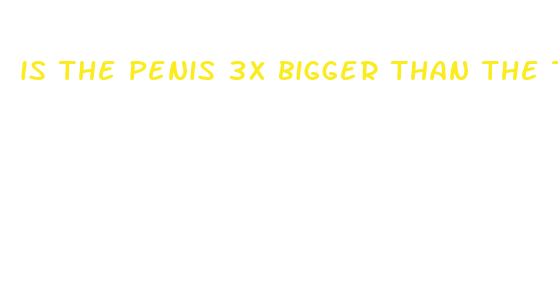 is the penis 3x bigger than the thumb