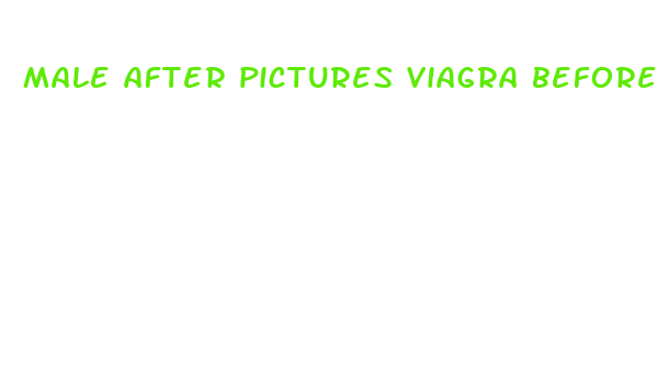 male after pictures viagra before and after photos