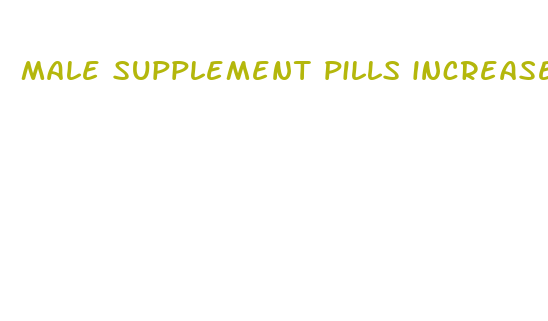 male supplement pills increase penis size