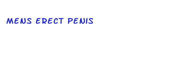 mens erect penis