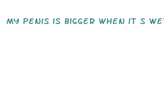 my penis is bigger when it s wet