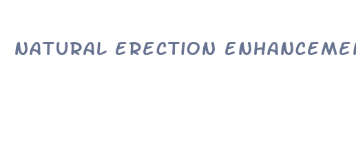 natural erection enhancement pills