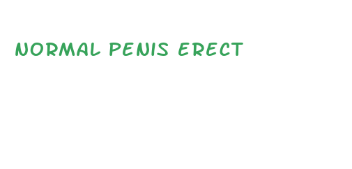 normal penis erect