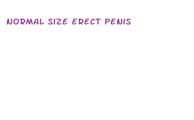 normal size erect penis