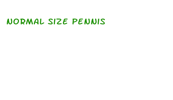 normal size pennis