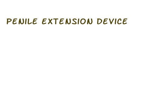 penile extension device